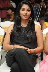 Drushyam Success Meet